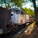 VLI 6029